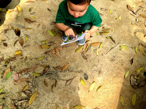 The Play&Grow programme connects preschool children to nature